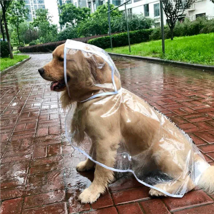 Raincoat