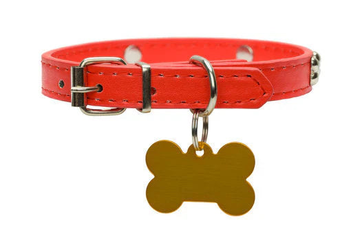 Pet Collar