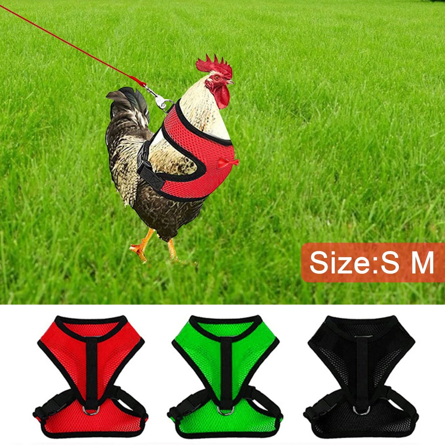 LuxePawe Adjustable Poultry Harness – Soft Rope for Chicken & Duck
