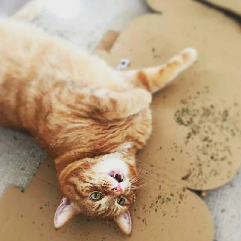 LuxePawe Organic Natural Catnip Toy – Mint Grass Fun Interactive Cat Toy