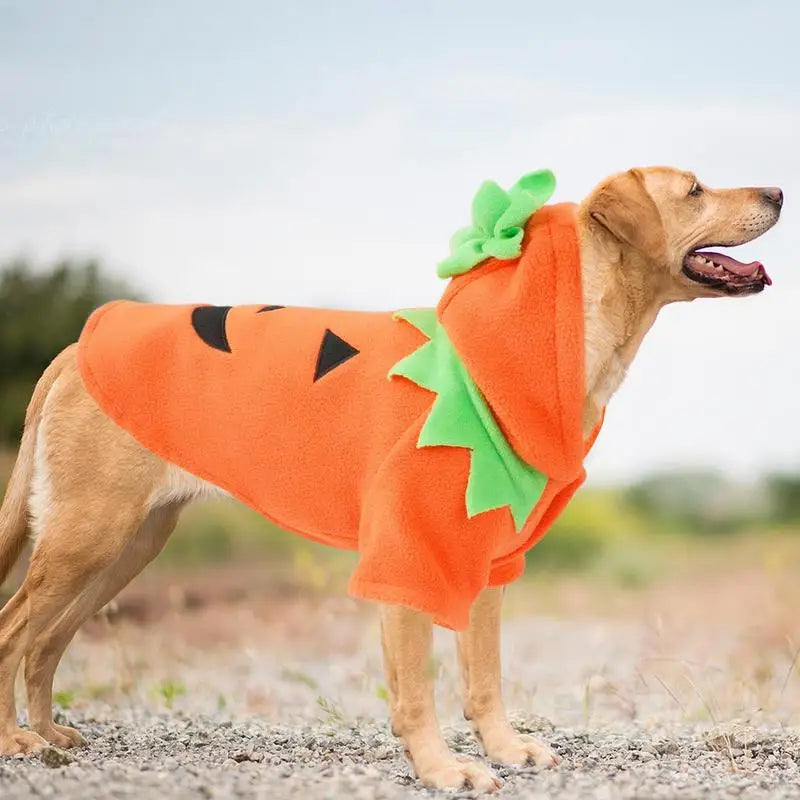 LuxePawe Cat & Dog Halloween Costume Comfortable Stylish Pet Outfit