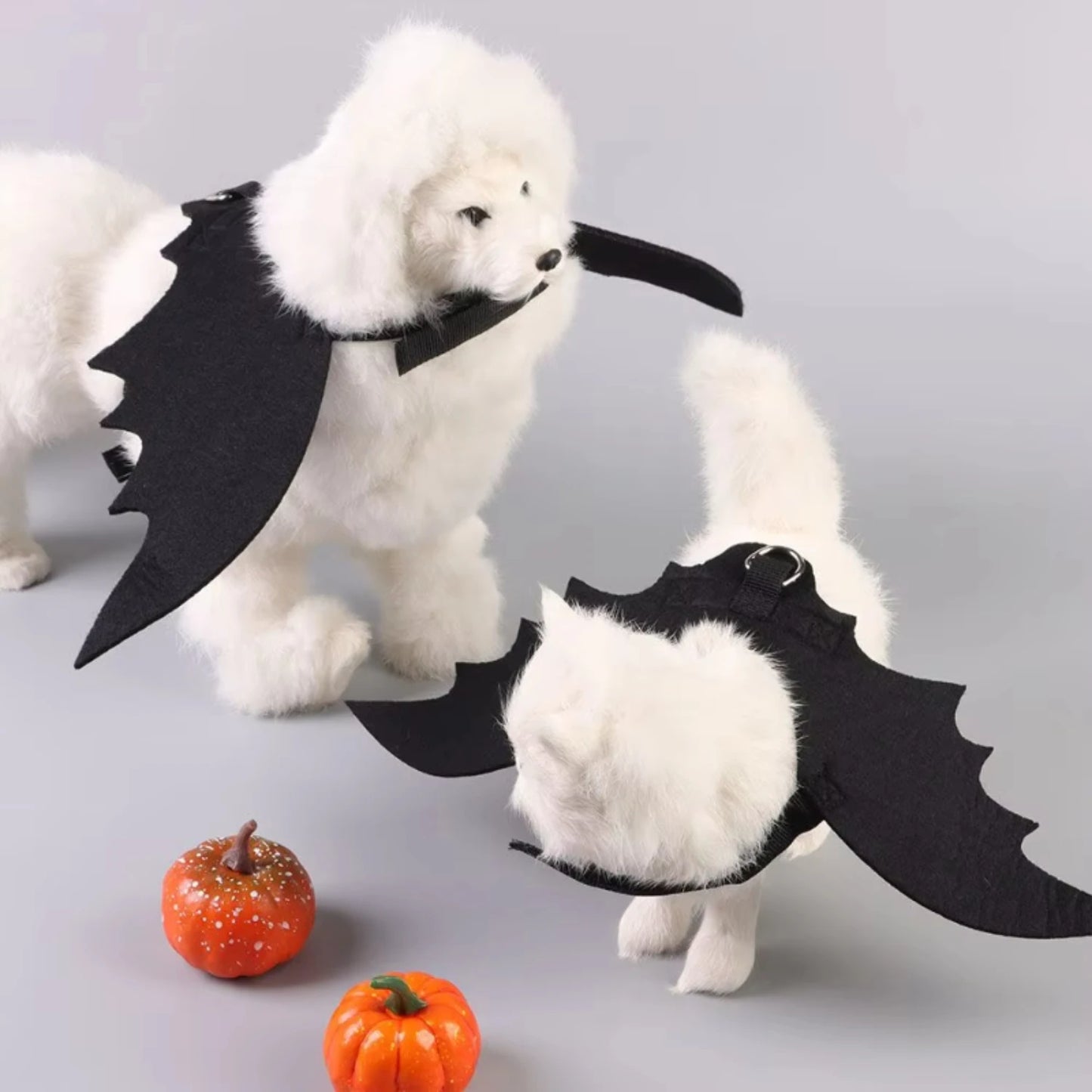 LuxePawe Pet Bat Wings Costume – Funny Halloween Outfit for Cats & Dogs