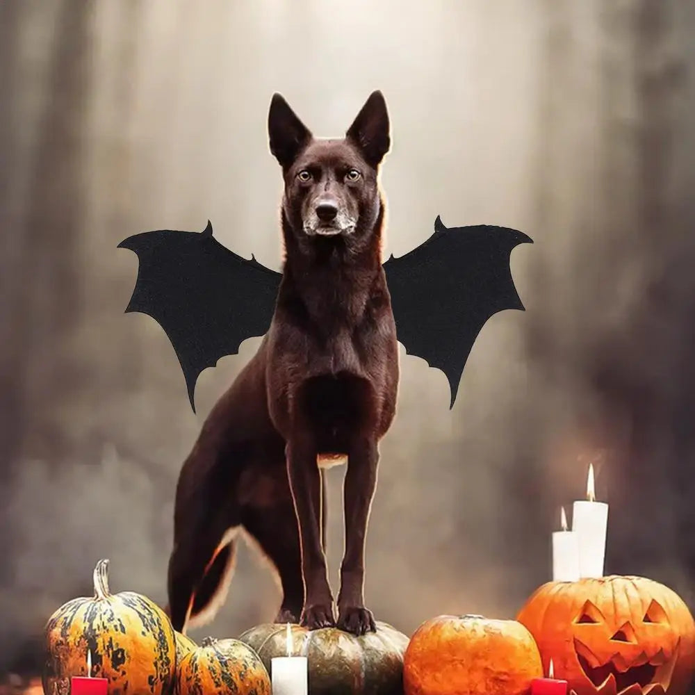 LuxePawe Halloween Pet Costume Bat Wings Apparel for Dogs & Cats