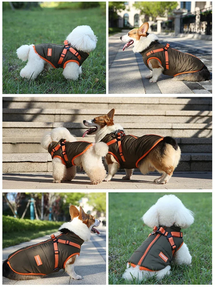 LuxePawe Small Dog Winter Jacket Waterproof Pet Coat with Harness