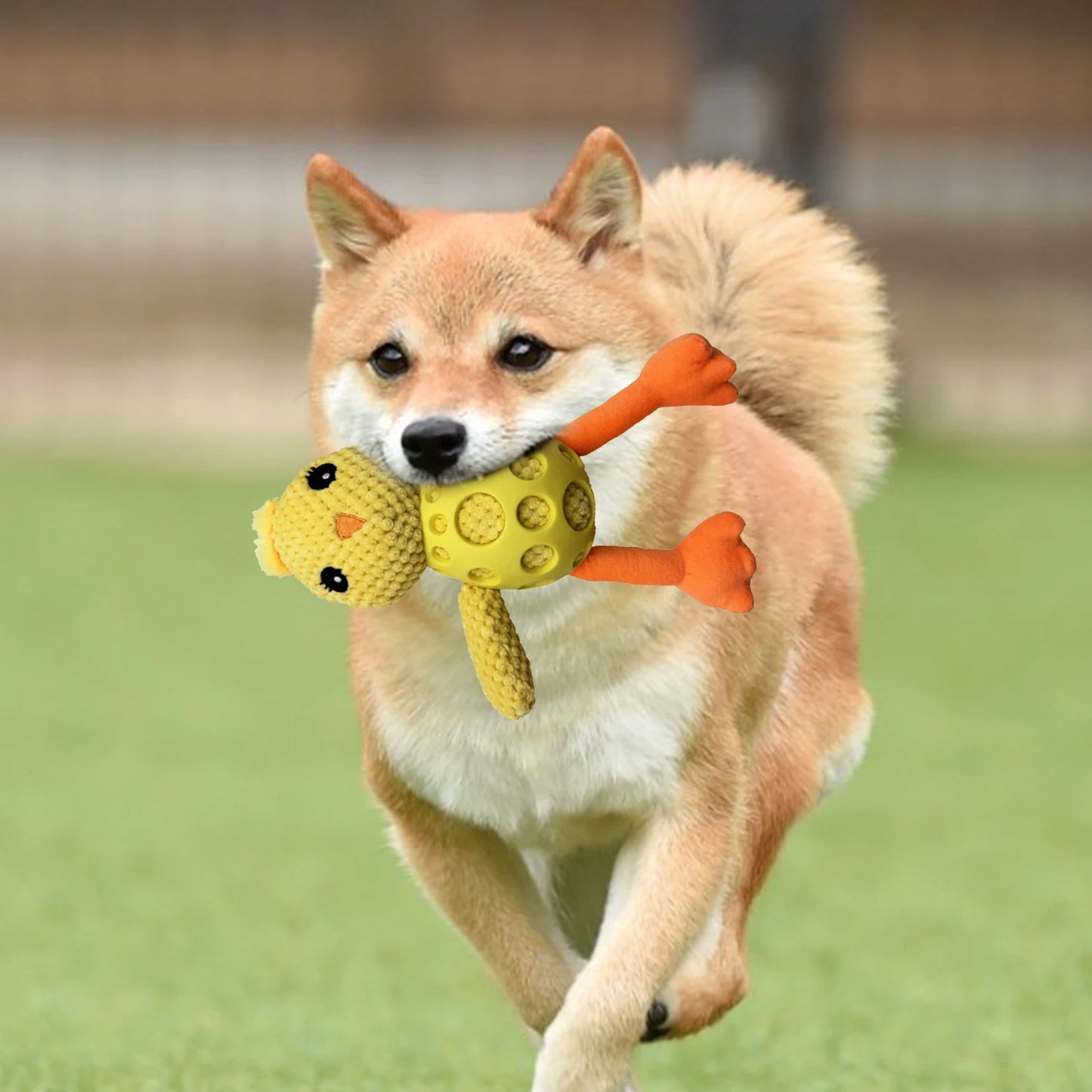 LuxePawe Squeaky Plush Chick Dog Toy Interactive Chew Toy for Dogs