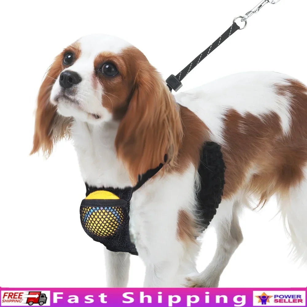 LuxePawe Reflective No-Pull Dog Harness with Pouch – Lightweight Step-In Mesh