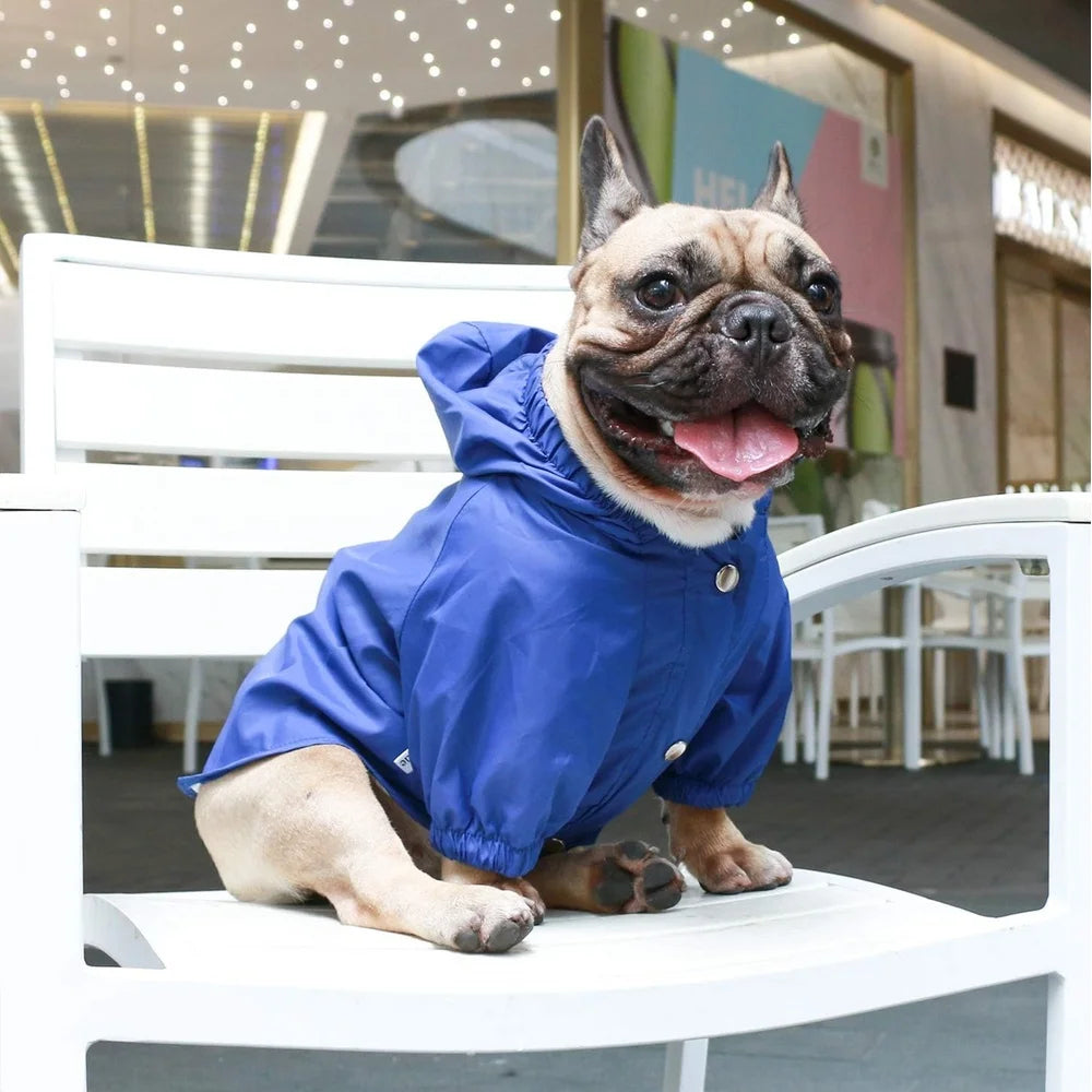 LuxePawe Dog Cold Weather Coat, Waterproof Hooded Jacket for Outdoor Use