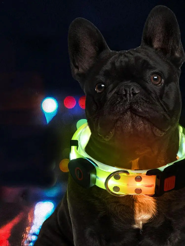 LuxePawe Glowing Dog Collar USB Rechargeable LED Waterproof Puppy Collar