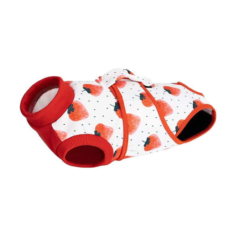 LuxePawe Post-Surgery Dog Suit Female Spay Protective Pet Clothing