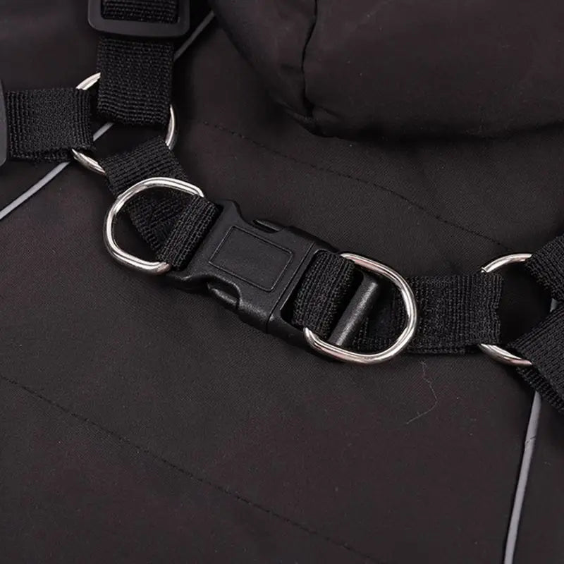 LuxePawe Chihuahua & French Bulldog Winter Jacket Warm Hooded Dog Coat