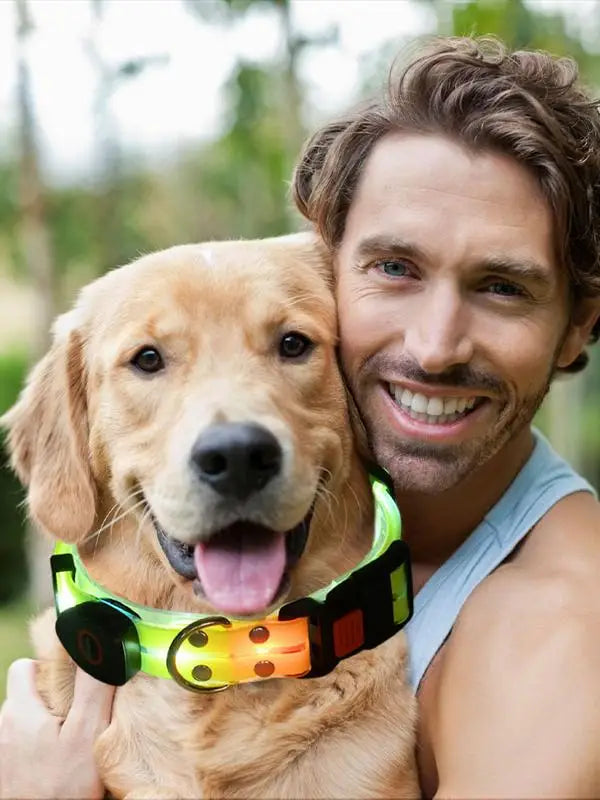 LuxePawe Glowing Dog Collar USB Rechargeable LED Waterproof Puppy Collar
