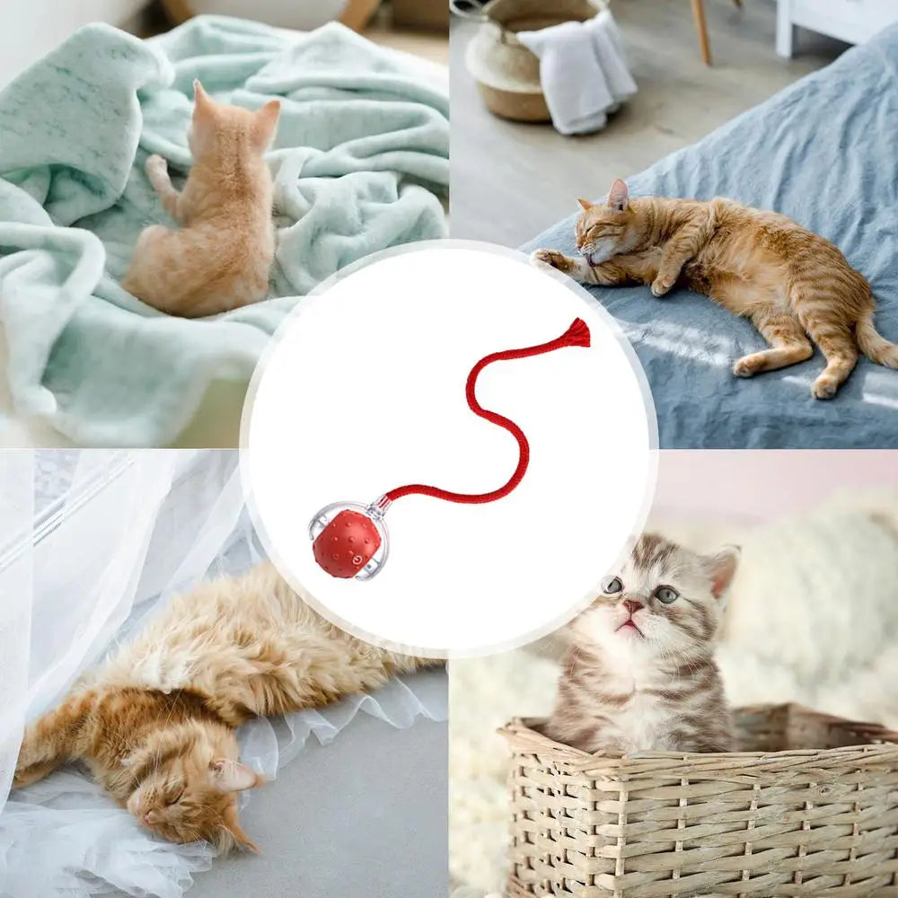 LuxePawe Automatic Smart Cat Ball Toy – USB Rechargeable with 3 Play Modes