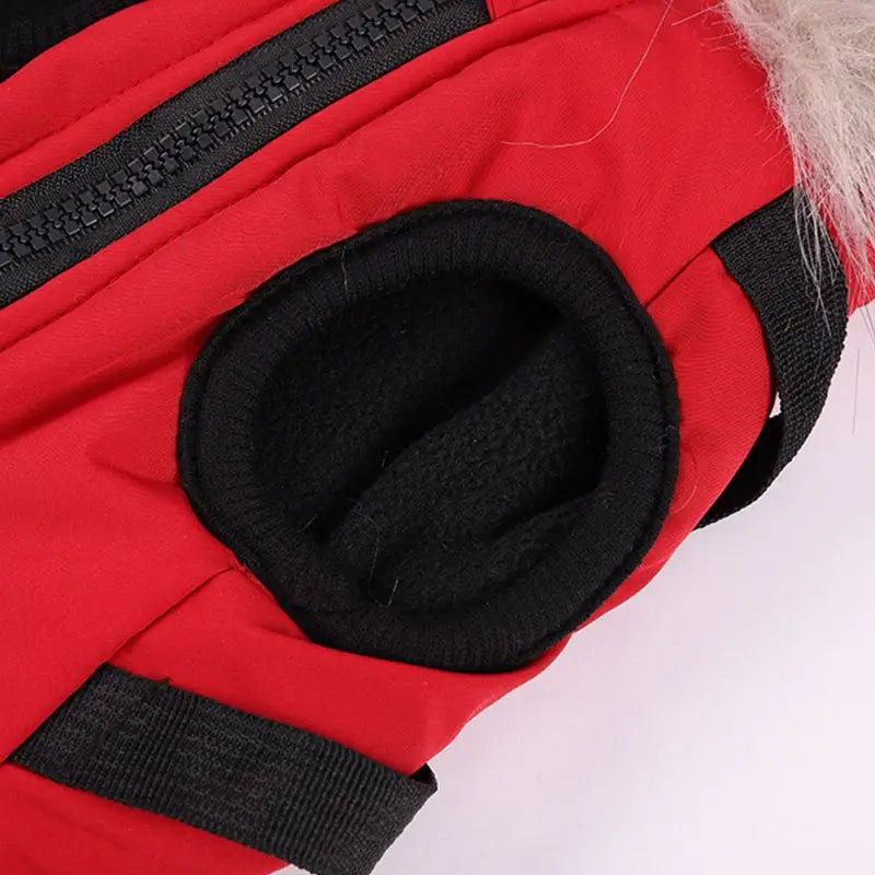 LuxePawe Chihuahua & French Bulldog Winter Jacket Warm Hooded Dog Coat