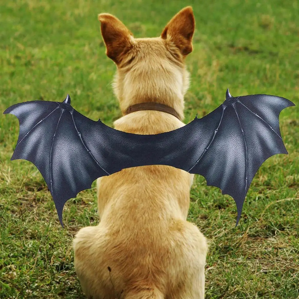 LuxePawe Halloween Pet Costume Bat Wings Apparel for Dogs & Cats