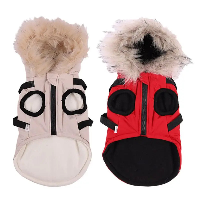 LuxePawe Chihuahua & French Bulldog Winter Jacket Warm Hooded Dog Coat