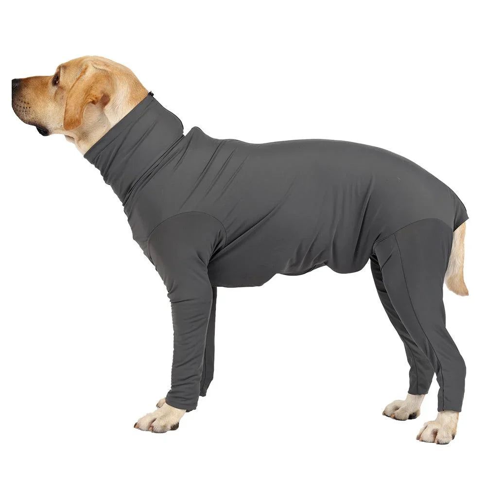 Pet Surgery Clothes