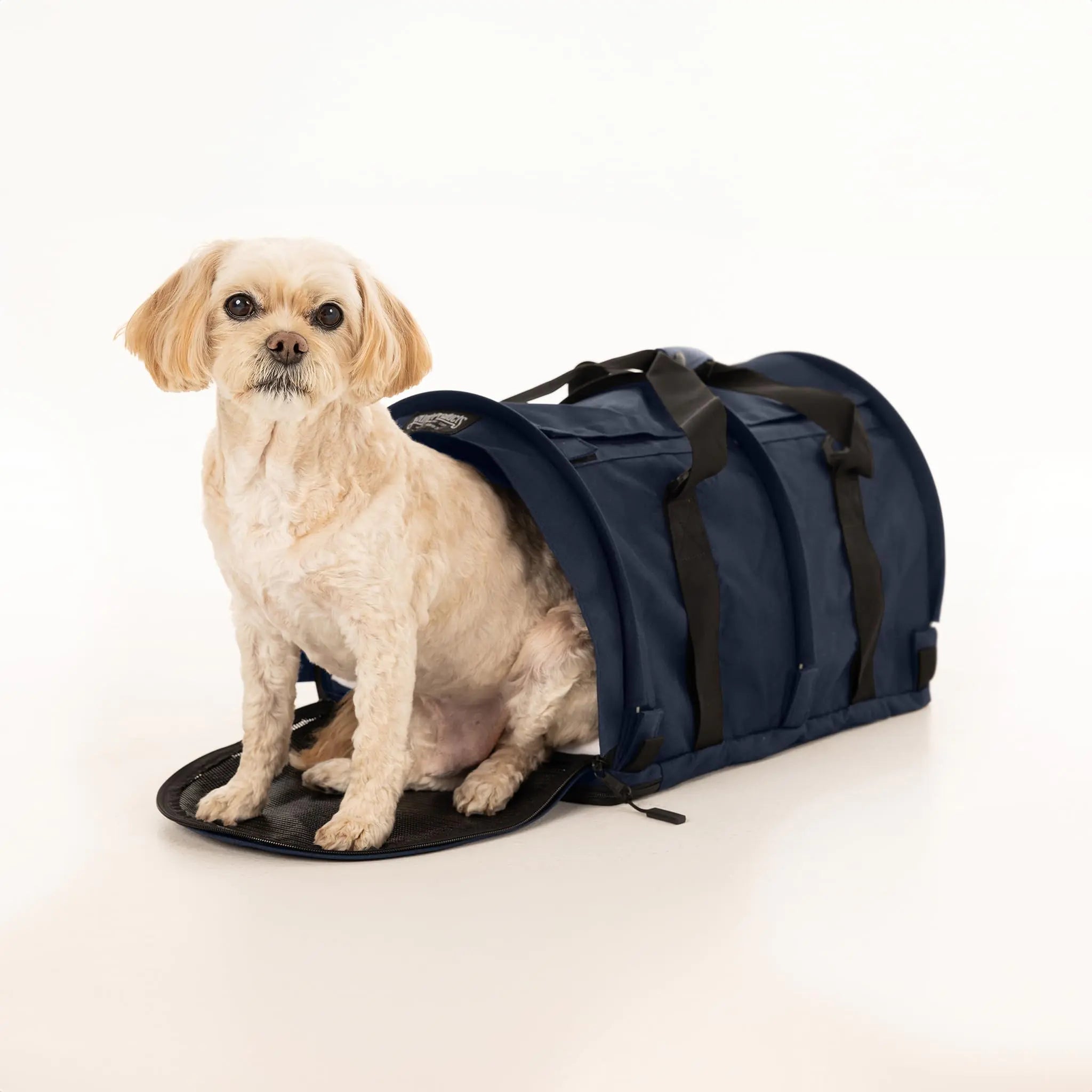 Pet Carrier Bag