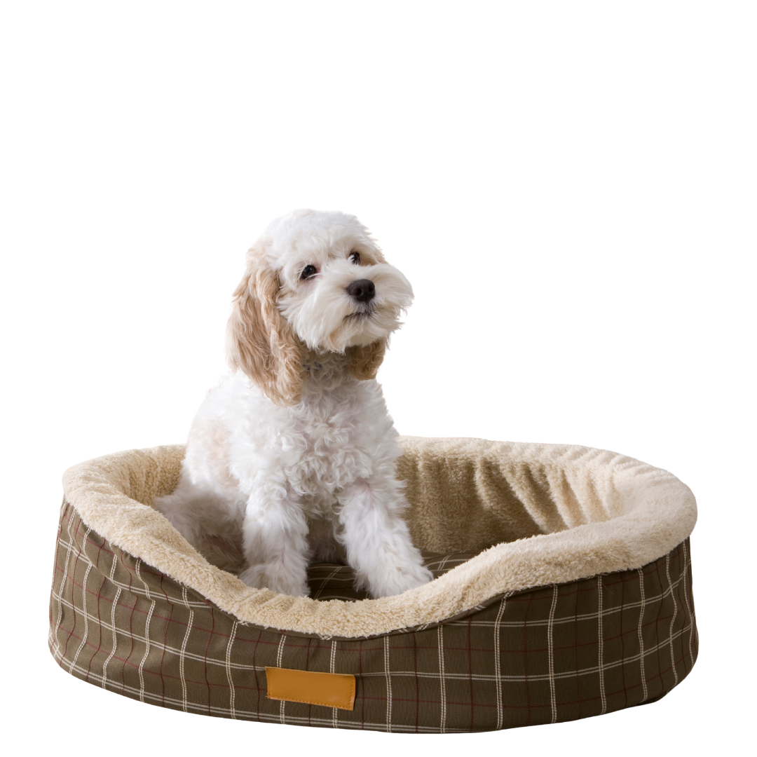 Dogs & Cat Beds