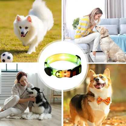 LuxePawe Glowing Dog Collar USB Rechargeable LED Waterproof Puppy Collar