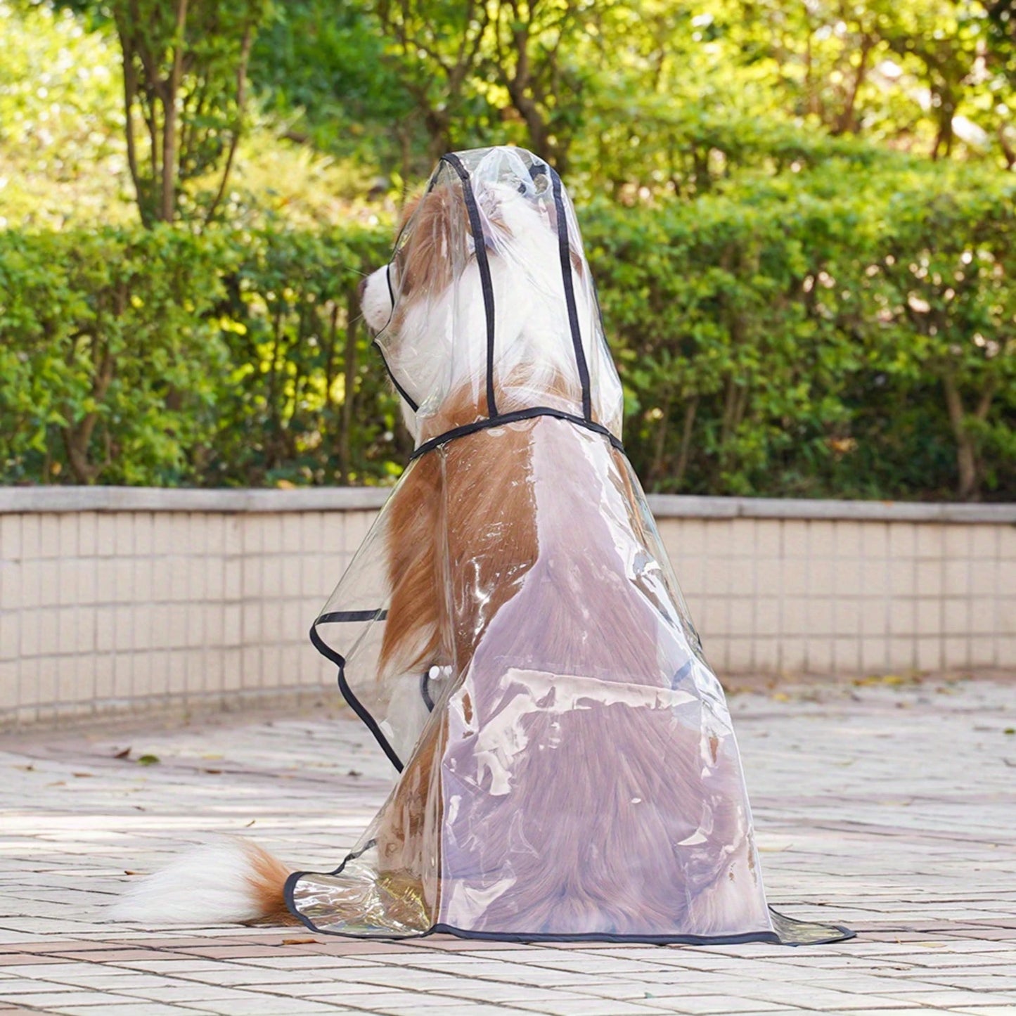 LuxePawe Transparent Raincoat for Large Dogs Golden Retriever & Border Collie