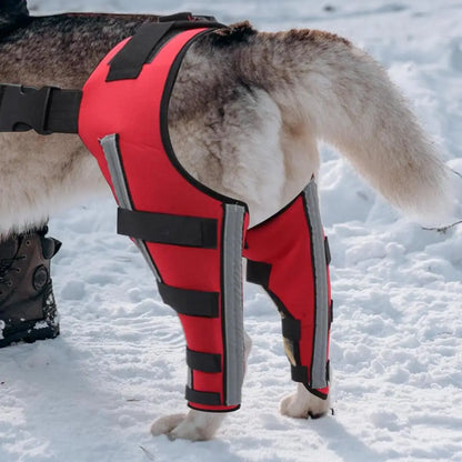 LuxePawe Dog Knee Brace – Orthopedic Hock & Hip Support for Recovery