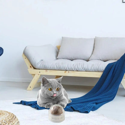 LuxePawe Rotatable Catnip Wall Toy – Edible Roller Ball for Teeth Cleaning