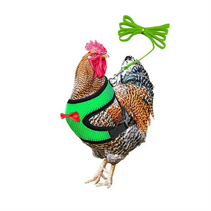 LuxePawe Adjustable Poultry Harness – Soft Rope for Chicken & Duck