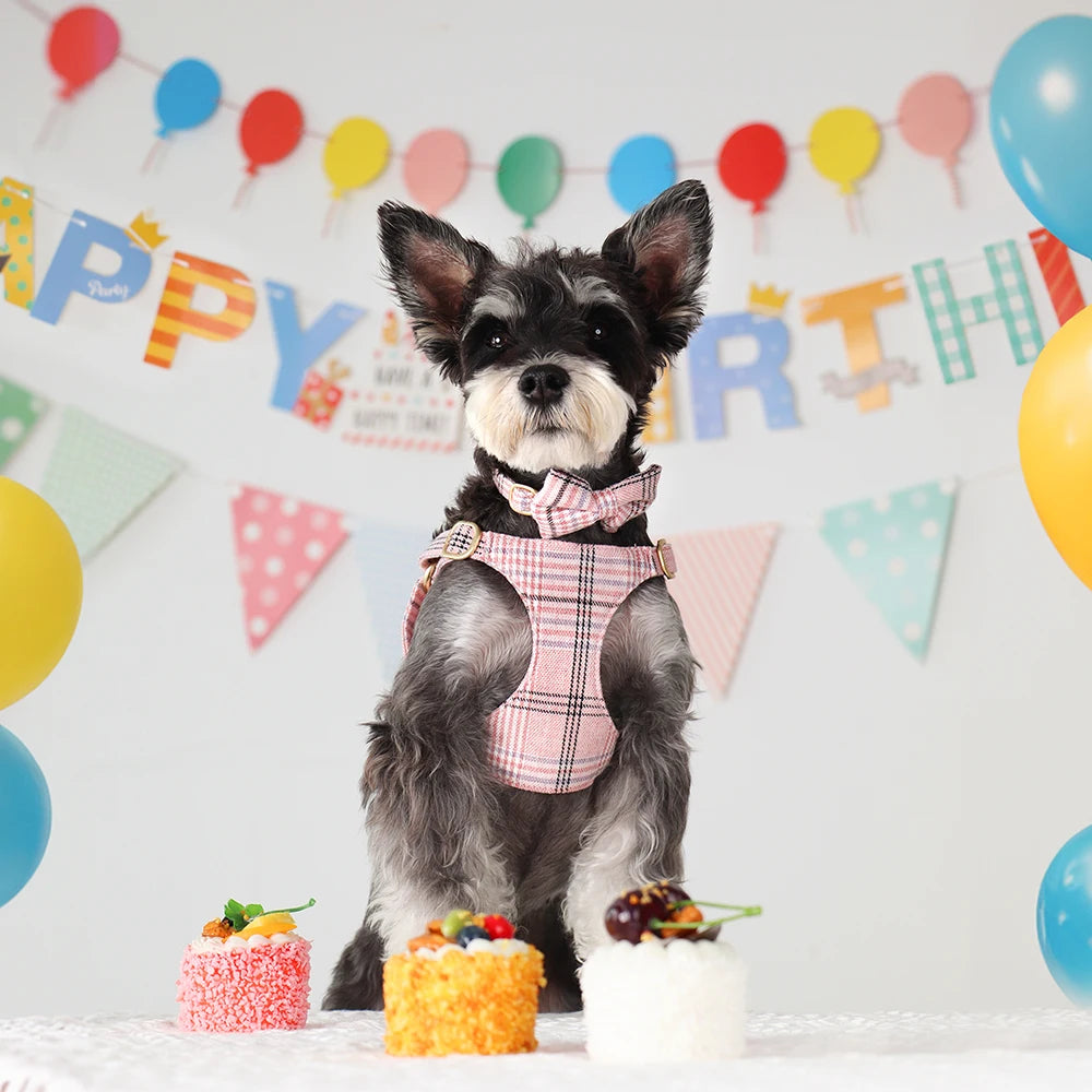 LuxePawe 3pcs Plaid Dog Collar Harness Leash Set with Bowtie Adjustable