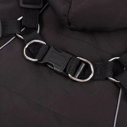 LuxePawe Chihuahua & French Bulldog Winter Jacket Warm Hooded Dog Coat