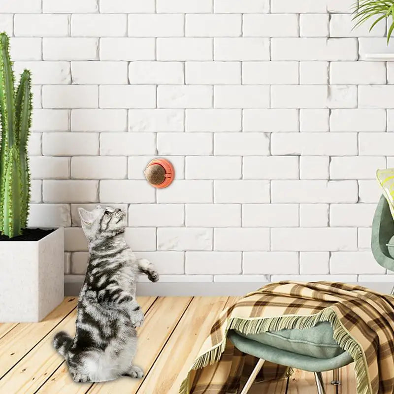 LuxePawe Rotatable Catnip Wall Toy – Edible Roller Ball for Teeth Cleaning