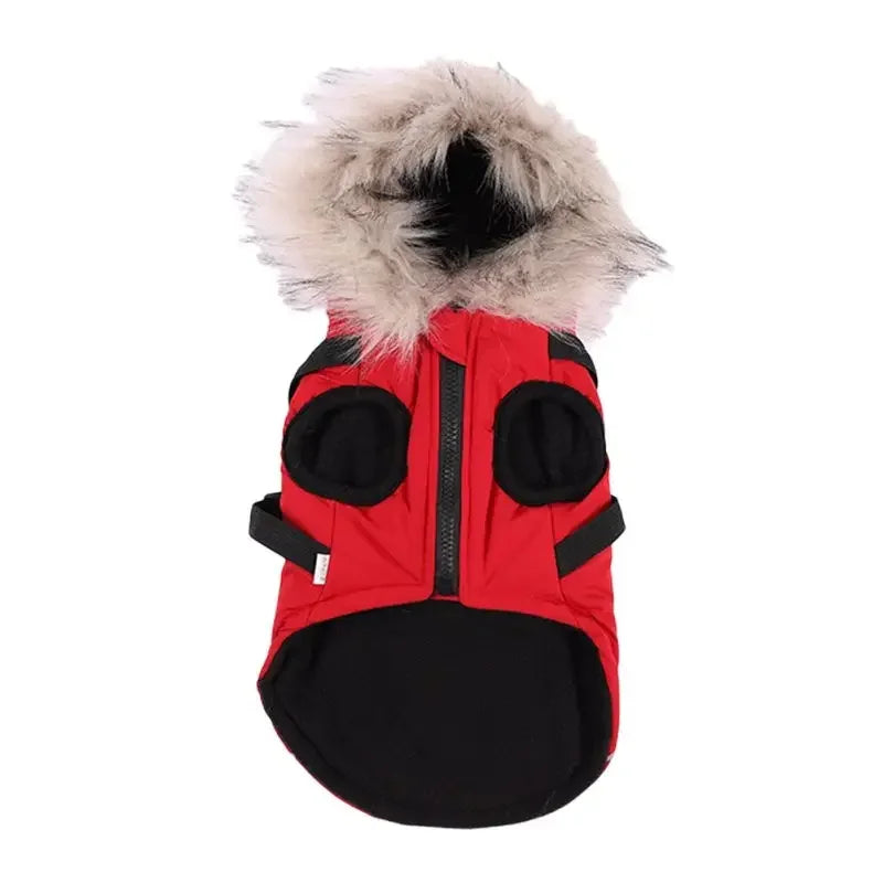 LuxePawe Chihuahua & French Bulldog Winter Jacket Warm Hooded Dog Coat