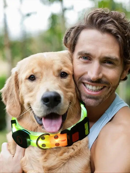 LuxePawe Glowing Dog Collar USB Rechargeable LED Waterproof Puppy Collar