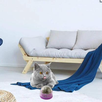 LuxePawe Rotatable Catnip Wall Toy – Edible Roller Ball for Teeth Cleaning