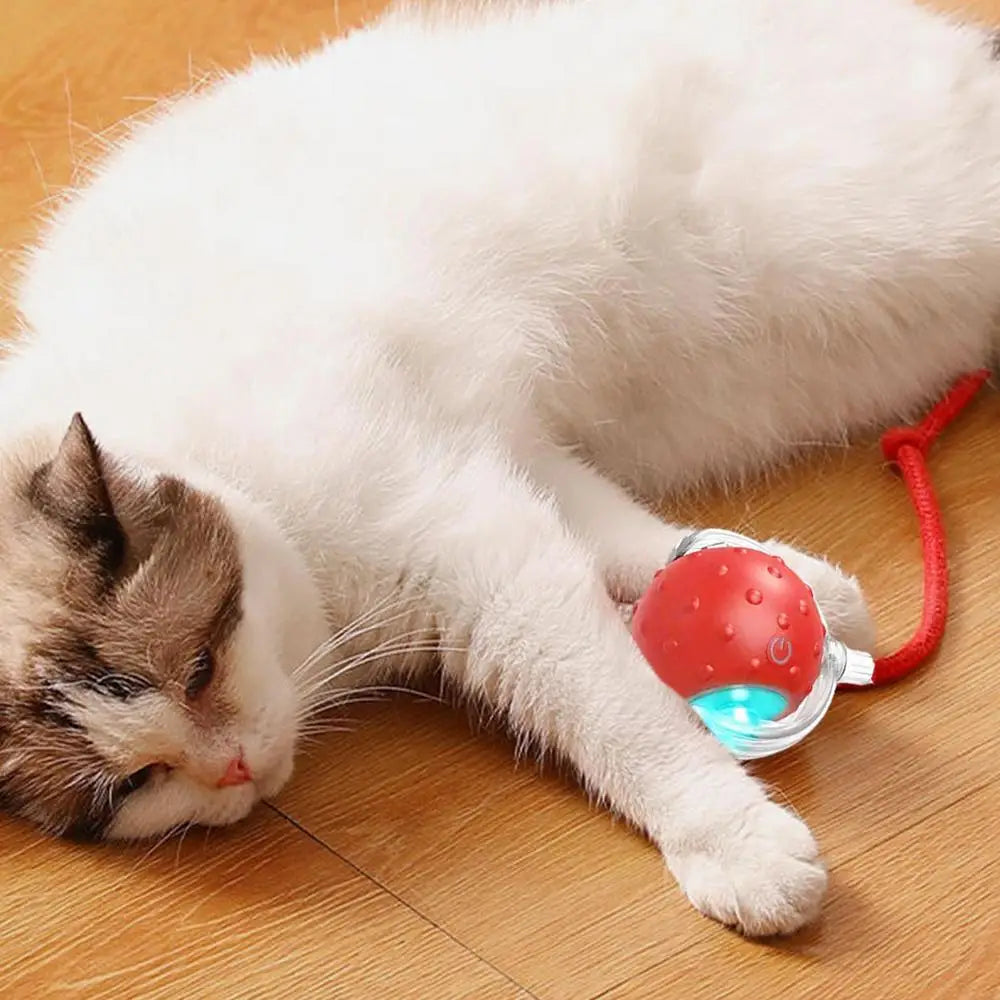 LuxePawe Automatic Smart Cat Ball Toy – USB Rechargeable with 3 Play Modes