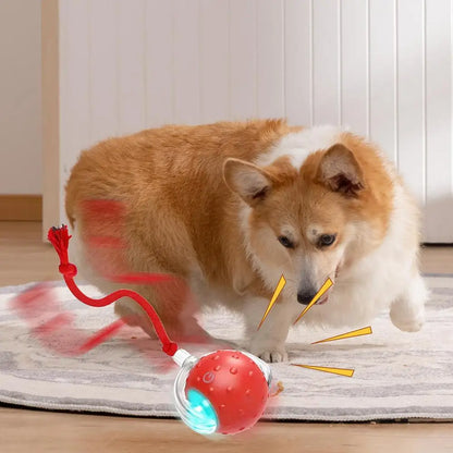 LuxePawe Automatic Smart Cat Ball Toy – USB Rechargeable with 3 Play Modes