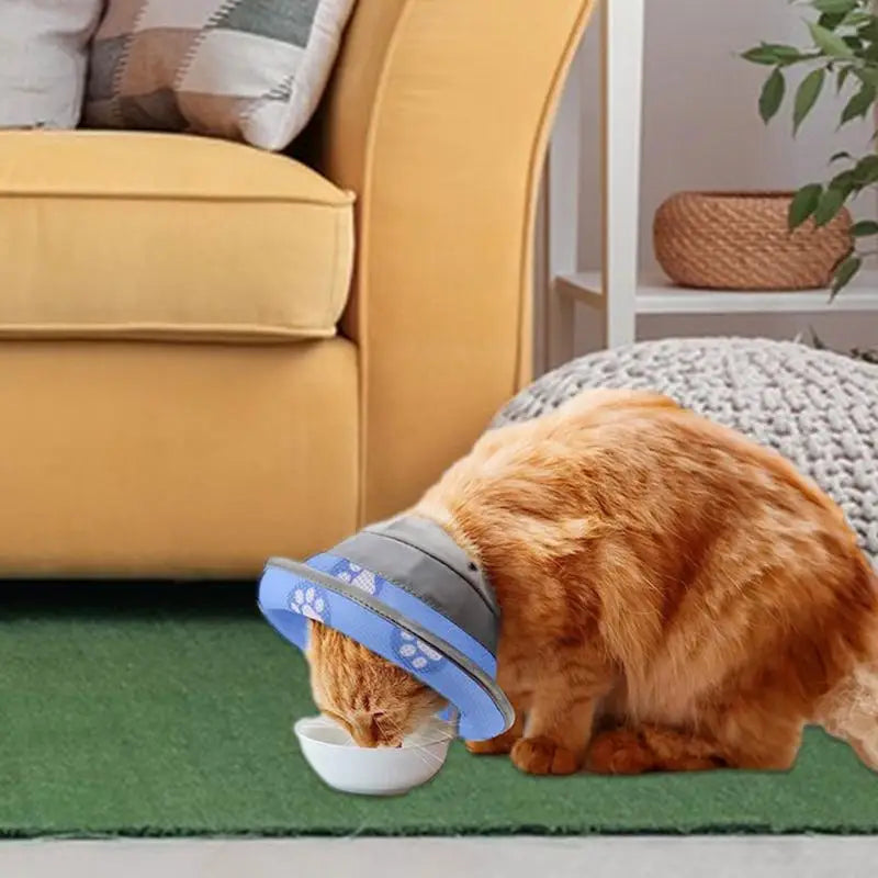 LuxePawe Soft Pet Collar | Cute Print Neck Guard Cone for Post-Surgery Care