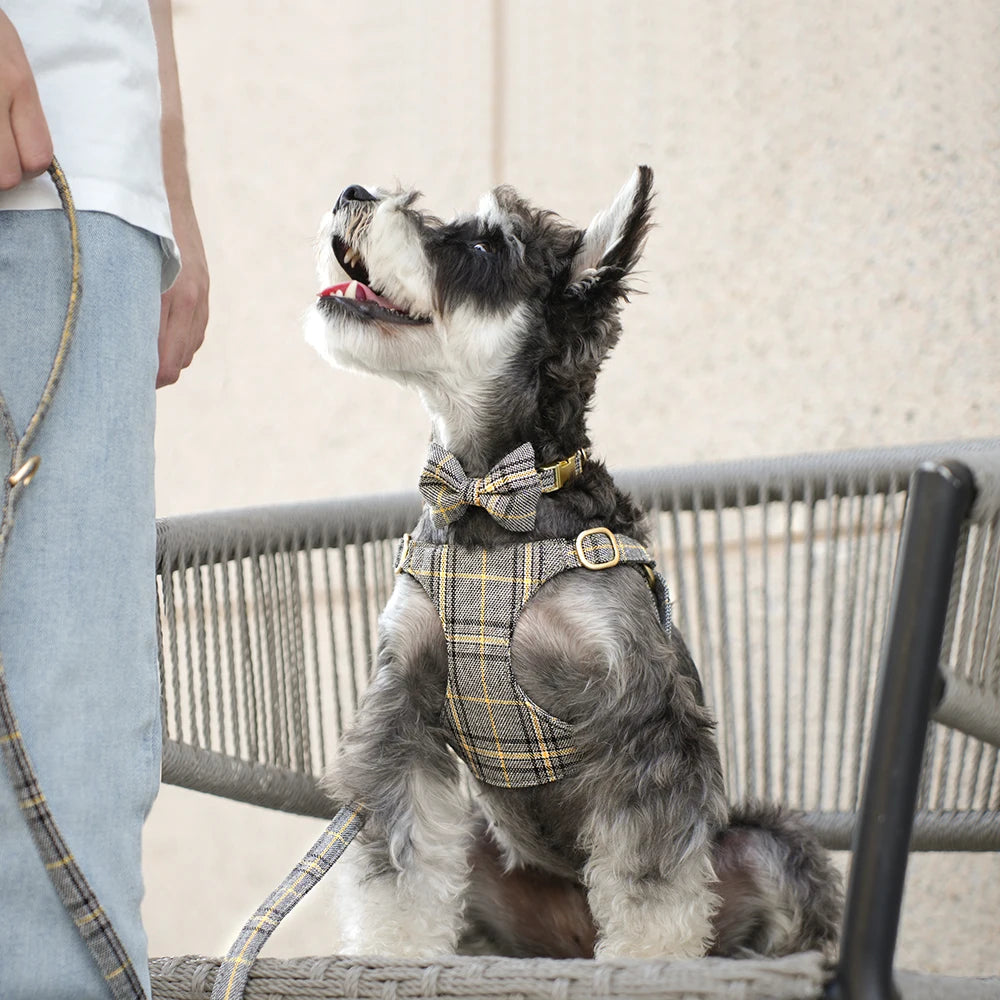 LuxePawe 3pcs Plaid Dog Collar Harness Leash Set with Bowtie Adjustable