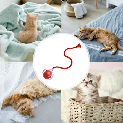 LuxePawe Automatic Smart Cat Ball Toy – USB Rechargeable with 3 Play Modes