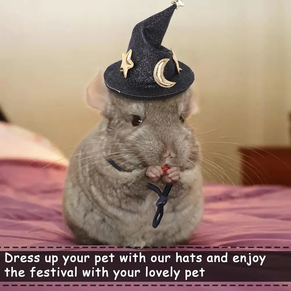 LuxePawe Mini Witch Hat – Adjustable Halloween Pet Headgear for Small Animals