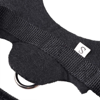 LuxePawe Pet Bat Wings Costume – Funny Halloween Outfit for Cats & Dogs