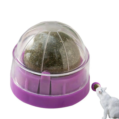 LuxePawe Rotatable Catnip Wall Toy – Edible Roller Ball for Teeth Cleaning