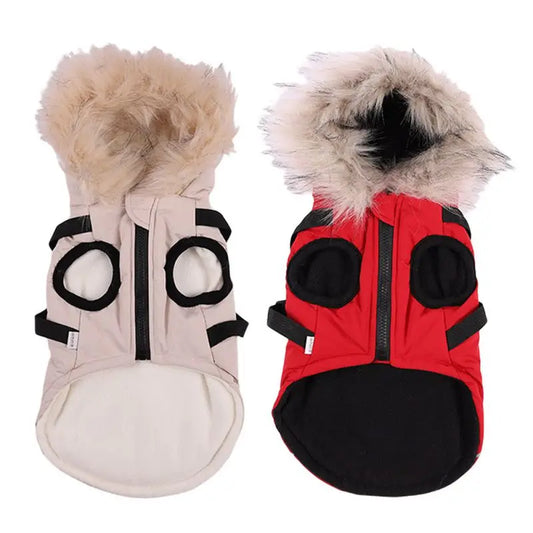 LuxePawe Chihuahua & French Bulldog Winter Jacket Warm Hooded Dog Coat