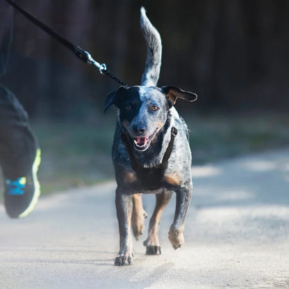 LuxePawe Reflective No-Pull Dog Harness with Pouch – Lightweight Step-In Mesh