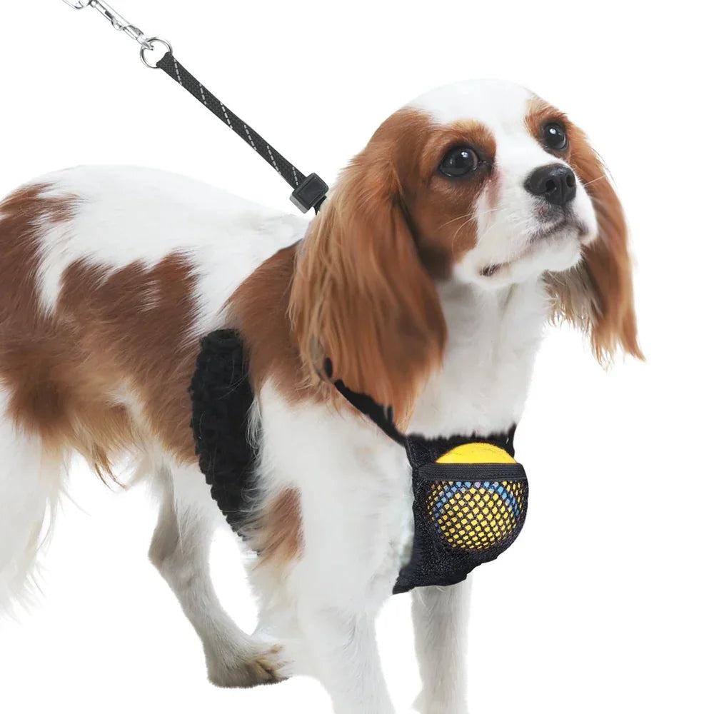 LuxePawe Reflective No-Pull Dog Harness with Pouch – Lightweight Step-In Mesh